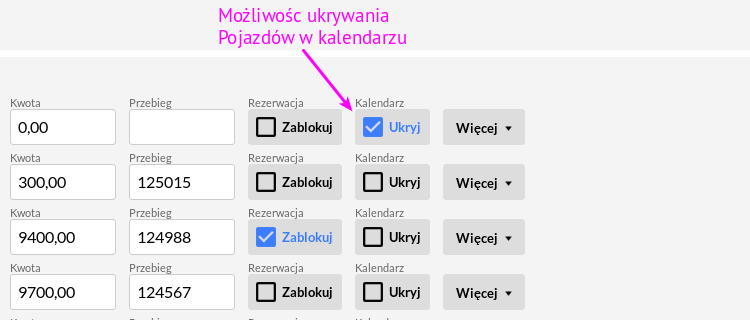 Czasowe ukrywanie pojazdów i kierowców w kalendarzu